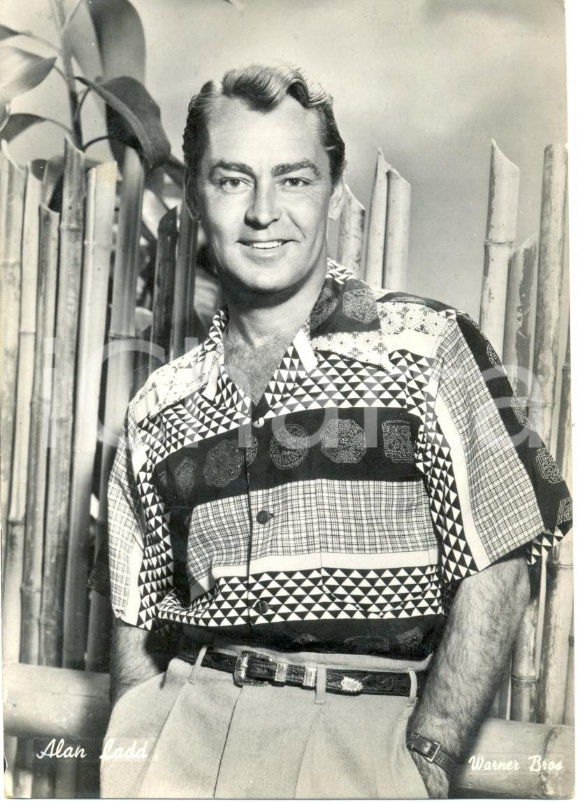 Cartolina originale da collezione 1953 CINEMA Attore Alan LADD Ritratto fotografico Cartolina FG VG WARNER BROS 1