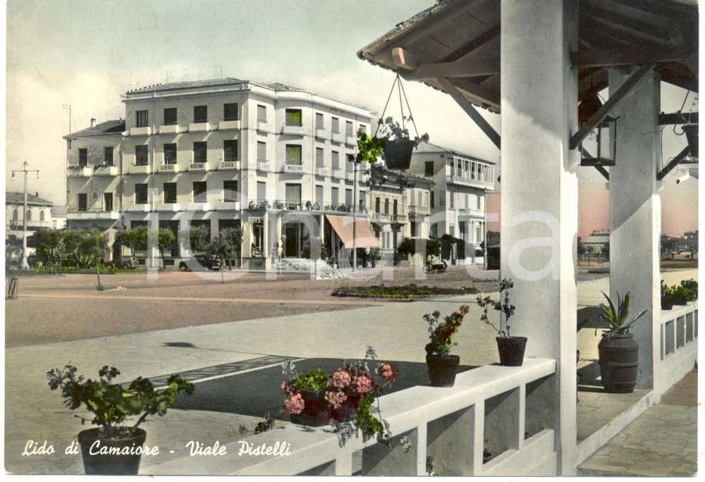 Cartolina originale da collezione 1956 LIDO DI CAMAIORE (LU) Albergo moderno ZARA viale PISTELLI *Cartolina FG VG 1