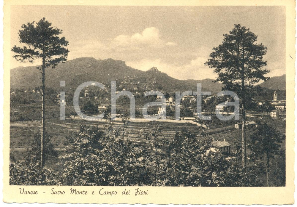 Cartolina originale da collezione 1950 ca VARESE Panorama SACRO MONTE e Campo dei Fiori Cartolina FG NV 1