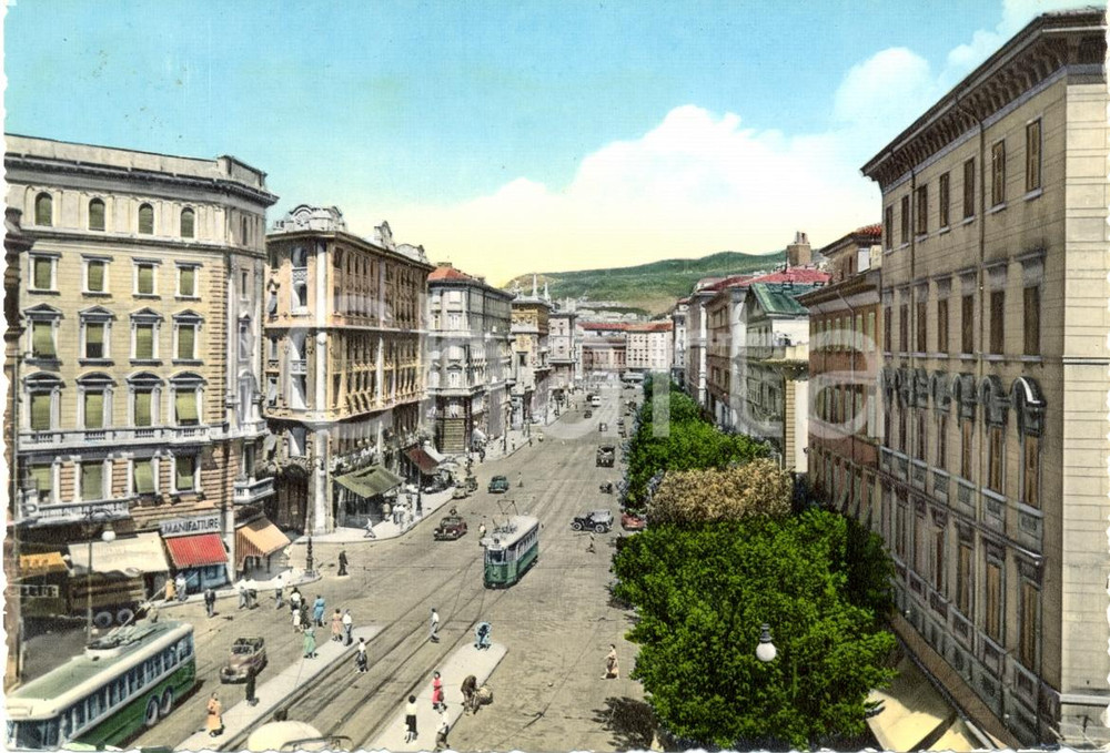 Cartolina originale da collezione 1955 TRIESTE Veduta via GiosuÃ© CARDUCCI Cartolina ANIMATA con auto e filobus 1