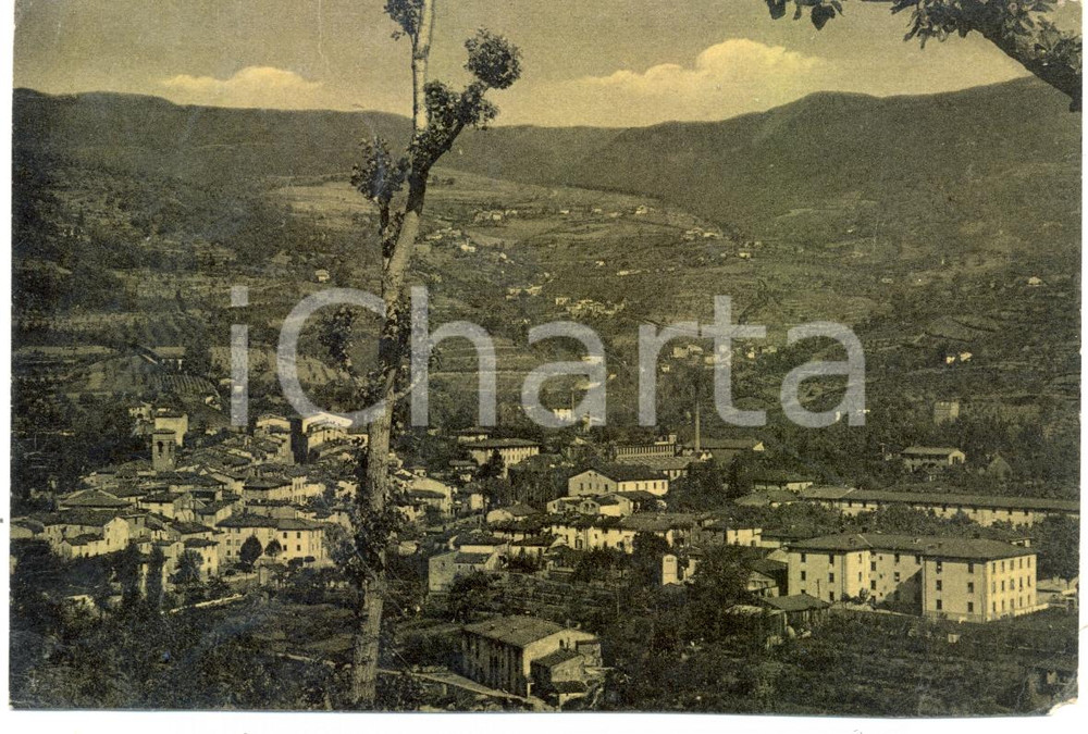 Cartolina originale da collezione 1952 STIA AR Veduta panoramica aerea del paese e della valle Cartolina FG VG 1