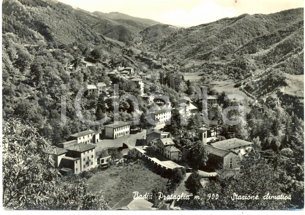 Cartolina originale da collezione 1958 POPPI AR Panorama stazione climatica BADIA PRATAGLIA Cartolina FG VG 1
