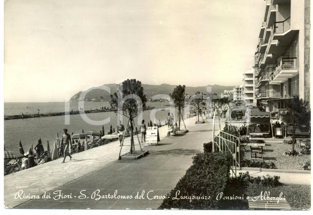 Cartolina originale da collezione 1953 SAN BARTOLOMEO DEL CERVO Bar La TAVERNETTA Pensioni Alberghi FG VG ANIMATA 1