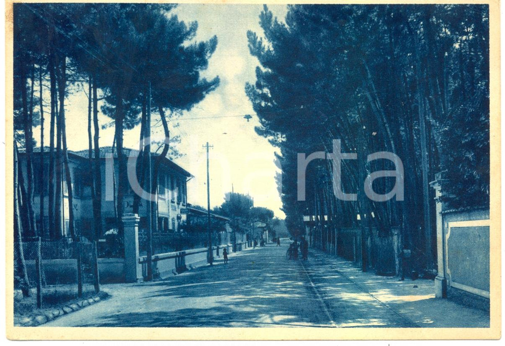 Cartolina originale da collezione 1934 MARINA DI PIETRASANTA Viale VERSILIA nella Frazione TONFANO FG VG ANIMATA 1