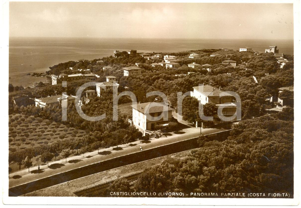 Cartolina originale da collezione 1955 ca CASTIGLIONCELLO LI Veduta panoramica Costa FIORITA Cartolina FG NV 1