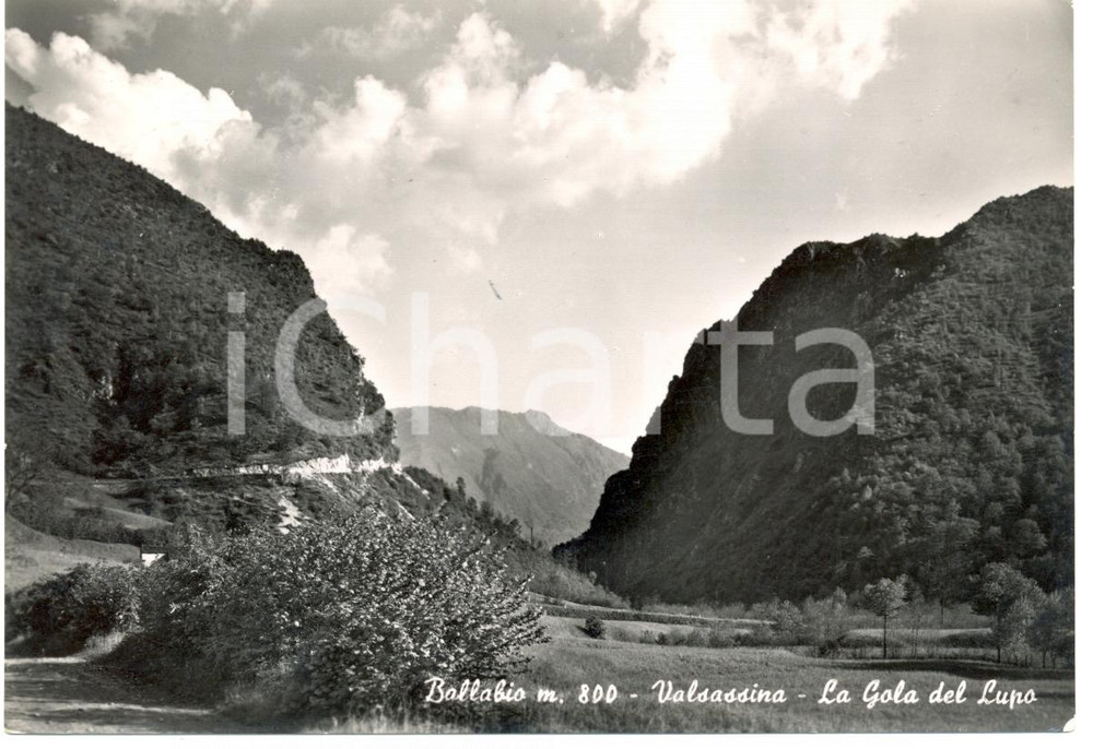 Cartolina originale da collezione 1952 BALLABIO LC La GOLA DEL LUPO in Valsassina Cartolina FG VG 1