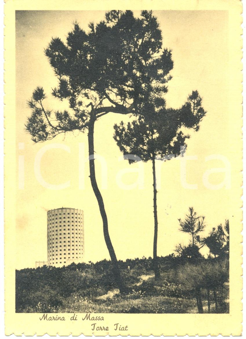 Cartolina originale da collezione 1950 MARINA DI MASSA (MS) La Torre FIAT *Cartolina FG VG 1
