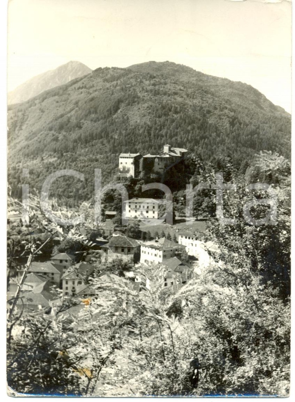 Cartolina originale da collezione 1950 ca STENICO (TN) Panorama del paese e della valle *Cartolina FG VG 1