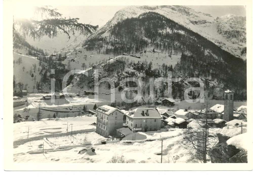 Cartolina originale da collezione 1953 MACUGNAGA (VB) Panorama paese e massiccio Monte ROSA *Cartolina FG VG 1