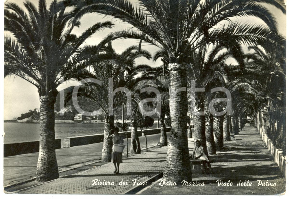 Cartolina originale da collezione 1955 DIANO MARINA (IM) Viale PALME sulla Riviera FIORI *Cartolina ANIMATA FG VG 1