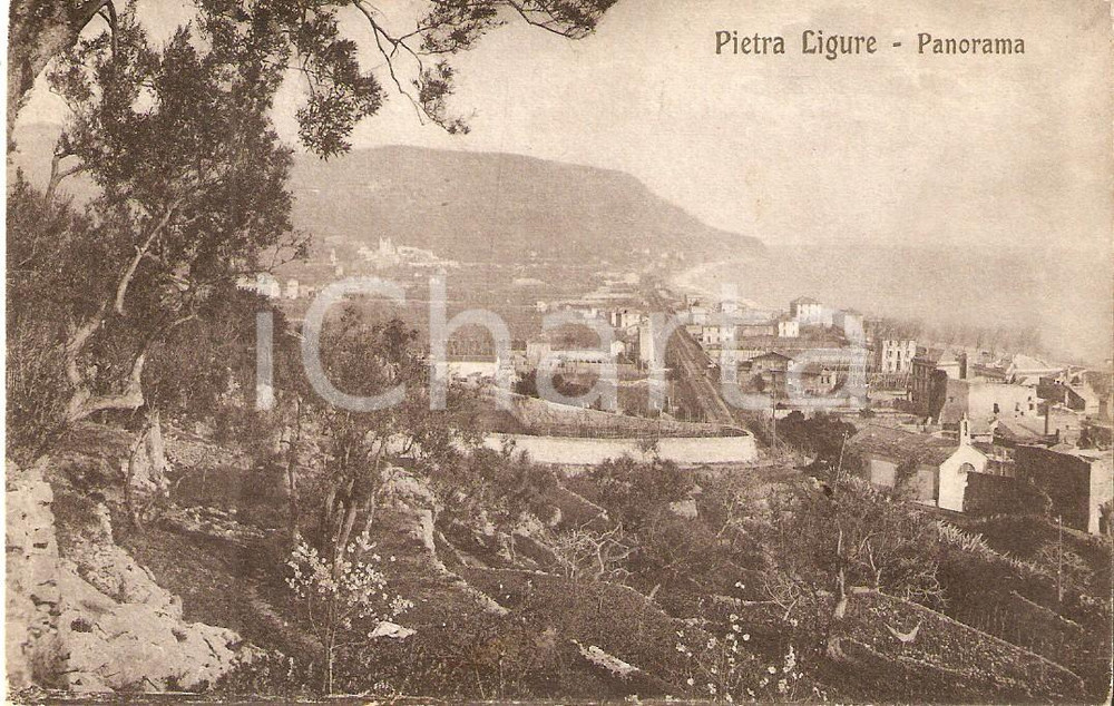 Cartolina originale da collezione 1926 PIETRA LIGURE SV Panorama con pini marittimi Cartolina FP VG 1