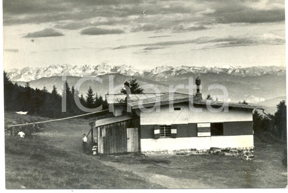 Cartolina originale da collezione 1956 PERGINE VALSUGANA (TN) Il Rifugio PANAROTTA *Cartolina FG VG 1