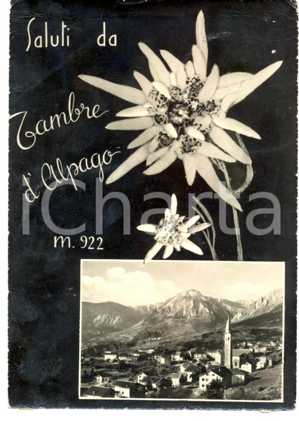 Cartolina originale da collezione 1965 TAMBRE D'ALPAGO (BL) Vedutine del paese e DOLOMITI *Cartolina FG VG 1