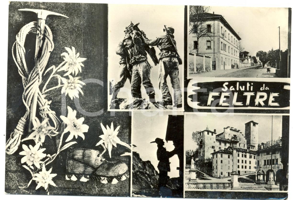 Cartolina originale da collezione 1963 FELTRE BL Vedutine P.za MAGGIORE Centro storico Cartolina ANIMATA FG VG 1