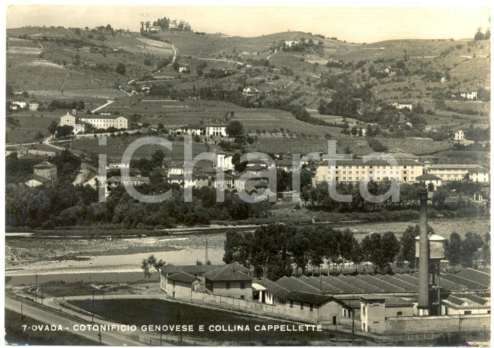 Cartolina originale da collezione 1950 OVADA AL Cotonificio GENOVESE e Collina CAPPELLETTE Cartolina FG VG 1