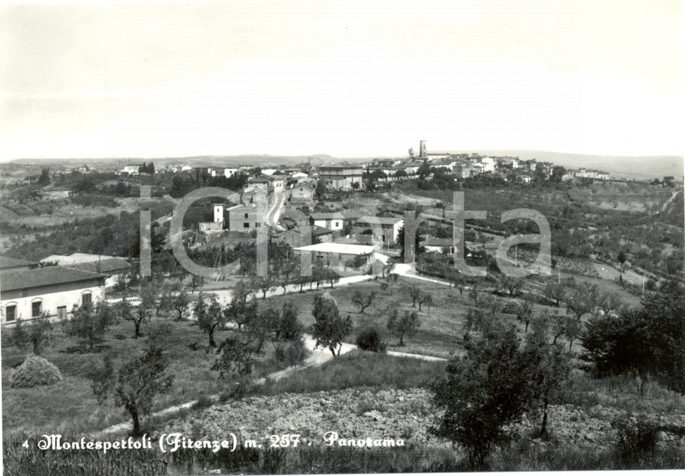 Cartolina originale da collezione 1960 ca MONTESPERTOLI FI Panorama VAL DI PESA Cartolina FG NV 1