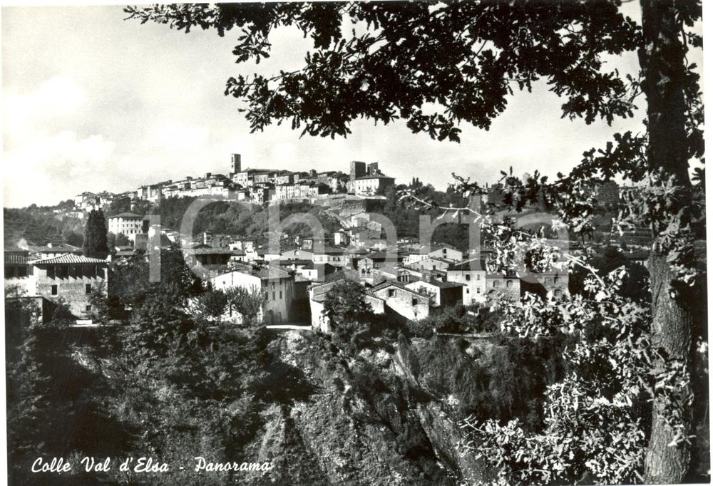 Cartolina originale da collezione 1950 ca COLLE VAL D ELSA SI Panorama del borgo antico Cartolina FG NV 1