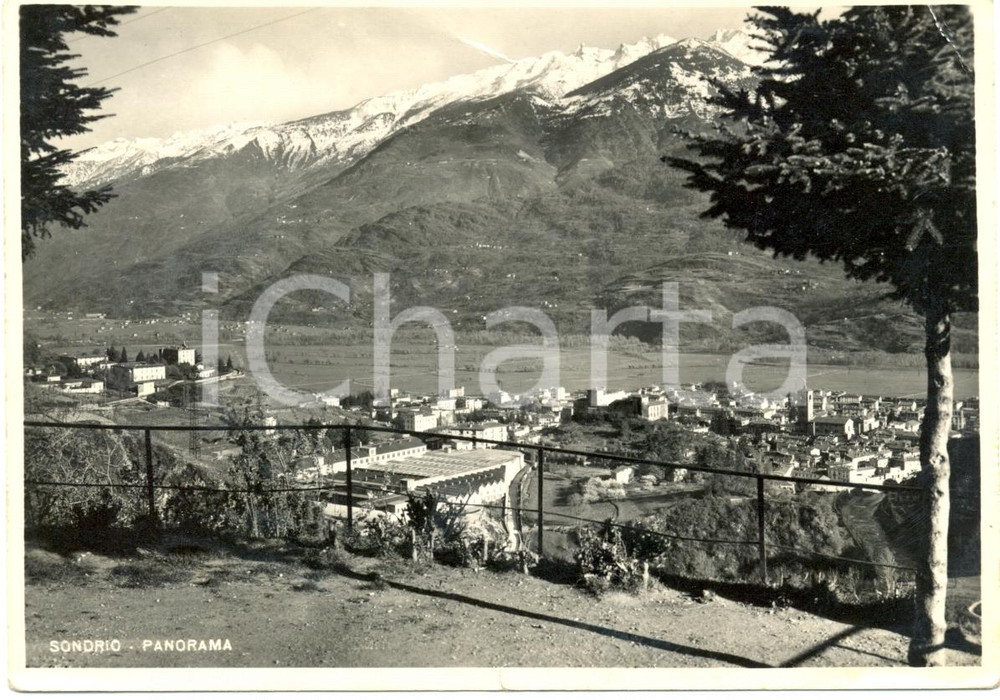 Cartolina originale da collezione 1948 SONDRIO Panorama e catena delle ALPI  Cartolina FG VG 1