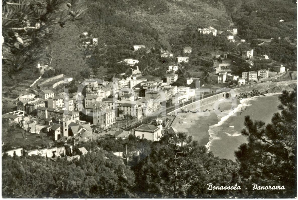 Cartolina originale da collezione 1972 BONASSOLA SP Panorama del paese dall alto Cartolina FG VG 1