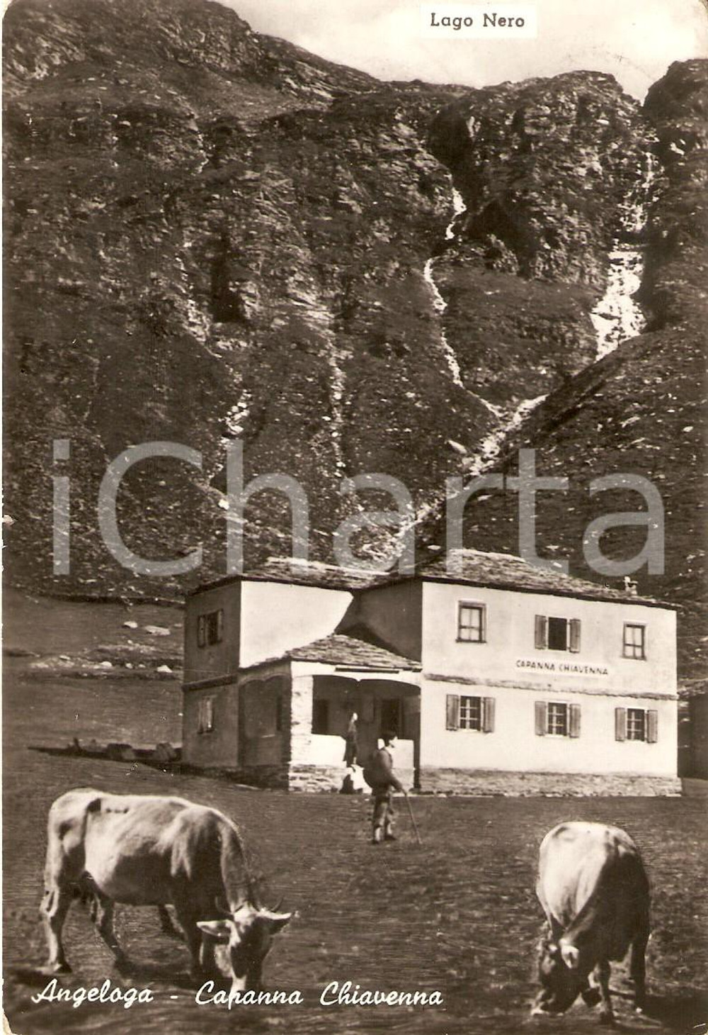 Cartolina originale da collezione 1950 ca PASSO ANGELOGA Mucche ed escursionisti a Capanna CHIAVENNA *Cartolina FG 1