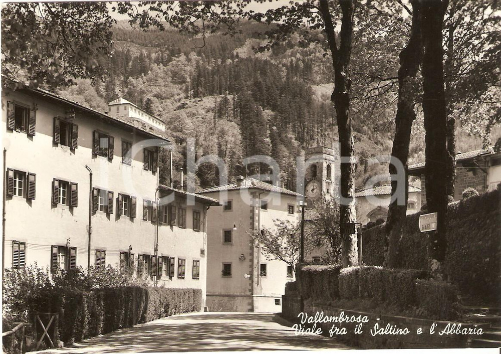 Cartolina originale da collezione 1955 ca REGGELLO (FI) Viale tra Abbazia di VALLOMBROSA e Saltino Cartolina FG VG 1