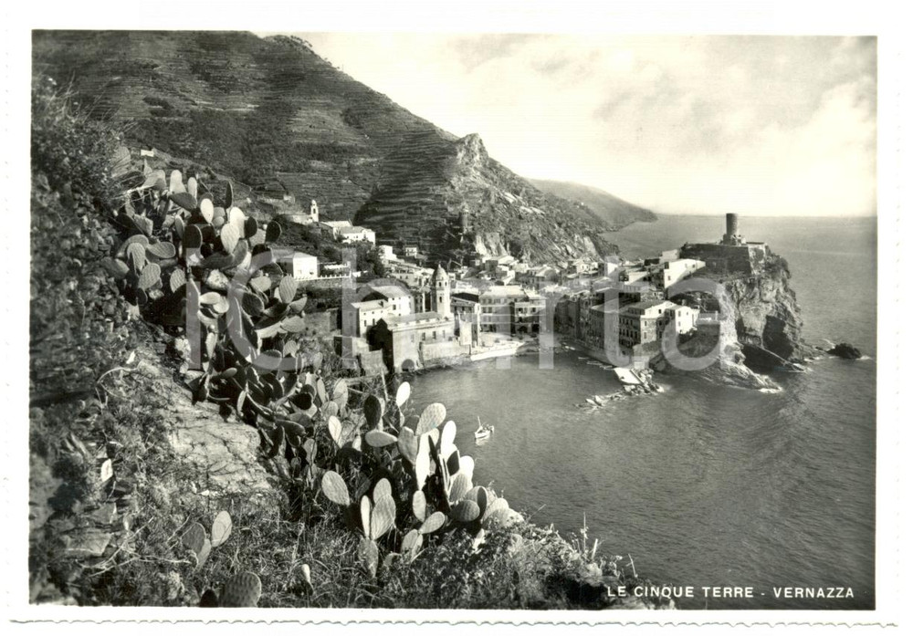 Cartolina originale da collezione 1955 ca VERNAZZA SP Panorama della baia CINQUE TERRE Cartolina postale FG NV 1