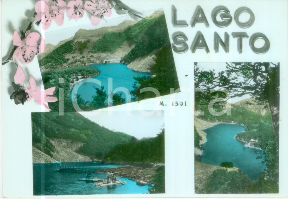 Cartolina originale da collezione 1966 PARMA Vedutine del Lago Santo Cartolina VINTAGE FG VG 1