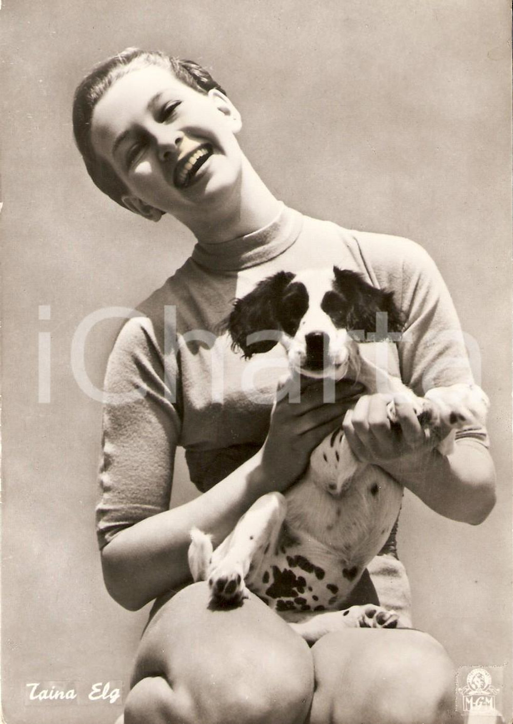 Cartolina originale da collezione 1950 ca CINEMA Actress Taina ELG Portrait with dog *Cartolina FG NV 1