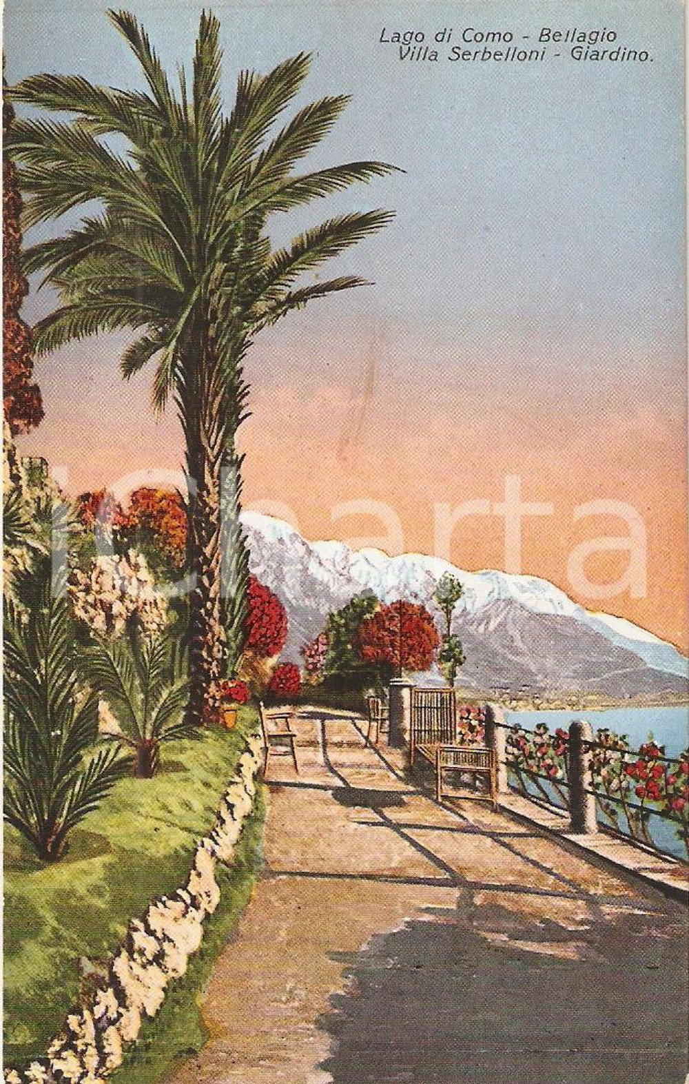 Cartolina originale da collezione 1935 ca BELLAGIO (CO) Giardino Villa SERBELLONI e scorcio lago *Cartolina FP NV 1