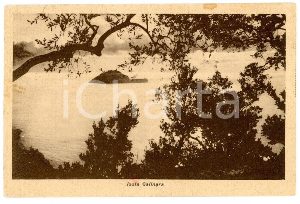 Cartolina originale da collezione 1948 Isola Gallinara, vedutina d'epoca 1