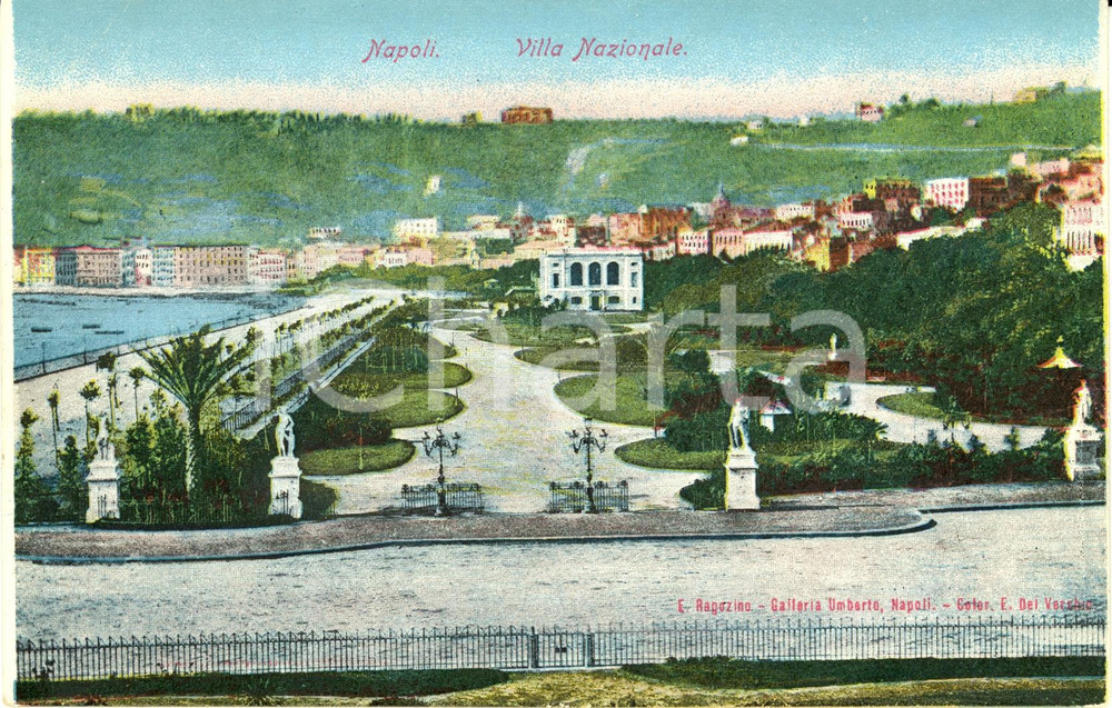Cartolina originale da collezione 1900 ca NAPOLI Veduta di VILLA NAZIONALE e del giardino *Cartolina FP NV 1