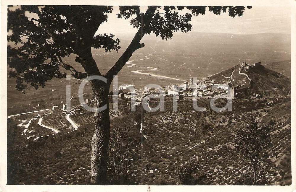 Cartolina originale da collezione 1939 ASSISI (PG) Panorama dalla strada dell'Eremo delle Carceri *Cartolina FP VG 1
