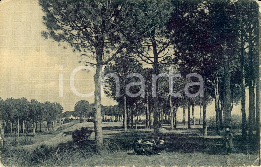 Cartolina originale da collezione 1916 Savona - Veduta d'epoca pineta *Animata 1