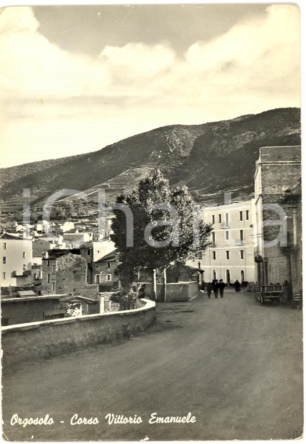 Cartolina originale da collezione 1960 ORGOSOLO (NU) Corso Vittorio Emanuele ANIMATA FG 1