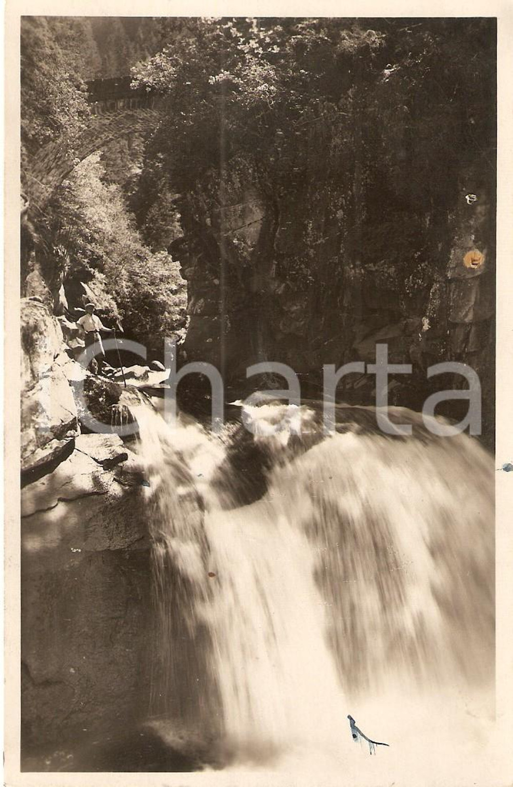 Cartolina originale da collezione 1934 PREDAZZO (TN) Cascata del TRAVIGNOLO e Ponte della LIZATA *Cartolina FP VG 1