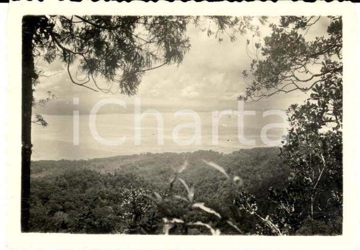 Fotografia d epoca originale 1938 SUPIORI PAPUA Panorama dall isola di BIAK Foto 1
