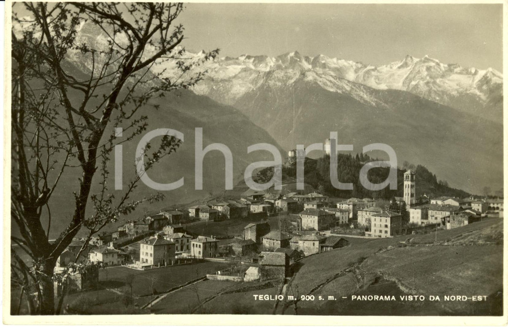 Cartolina originale da collezione 1950 TEGLIO SO Veduta panoramica del paese da nordest  Cartolina FP VG 1