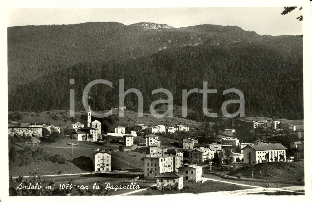 Cartolina originale da collezione 1955 ANDALO (TN) Veduta del paese con il monte PAGANELLA *Cartolina FP VG 1