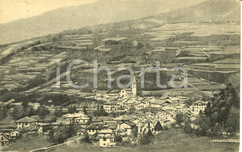 Cartolina originale da collezione 1921 CESANA TORINESE (TO) Panorama Conca generale da Ponente *Cartolina FP VG 1