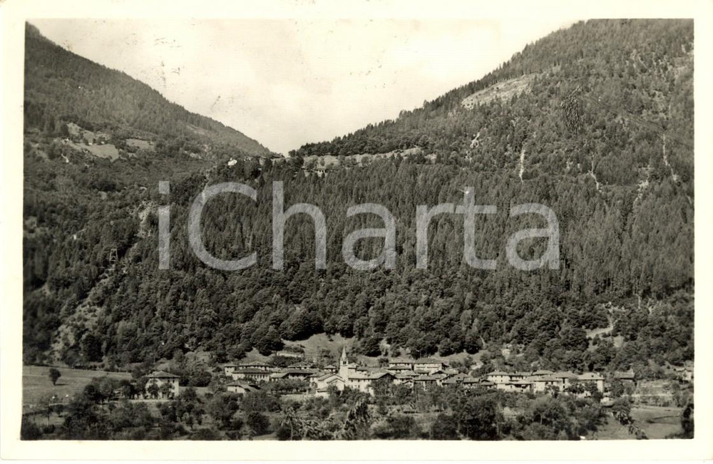 Cartolina originale da collezione 1959 VILLA RENDENA (TN) Panorama della frazione IAVRE' *Cartolina postale FP VG 1