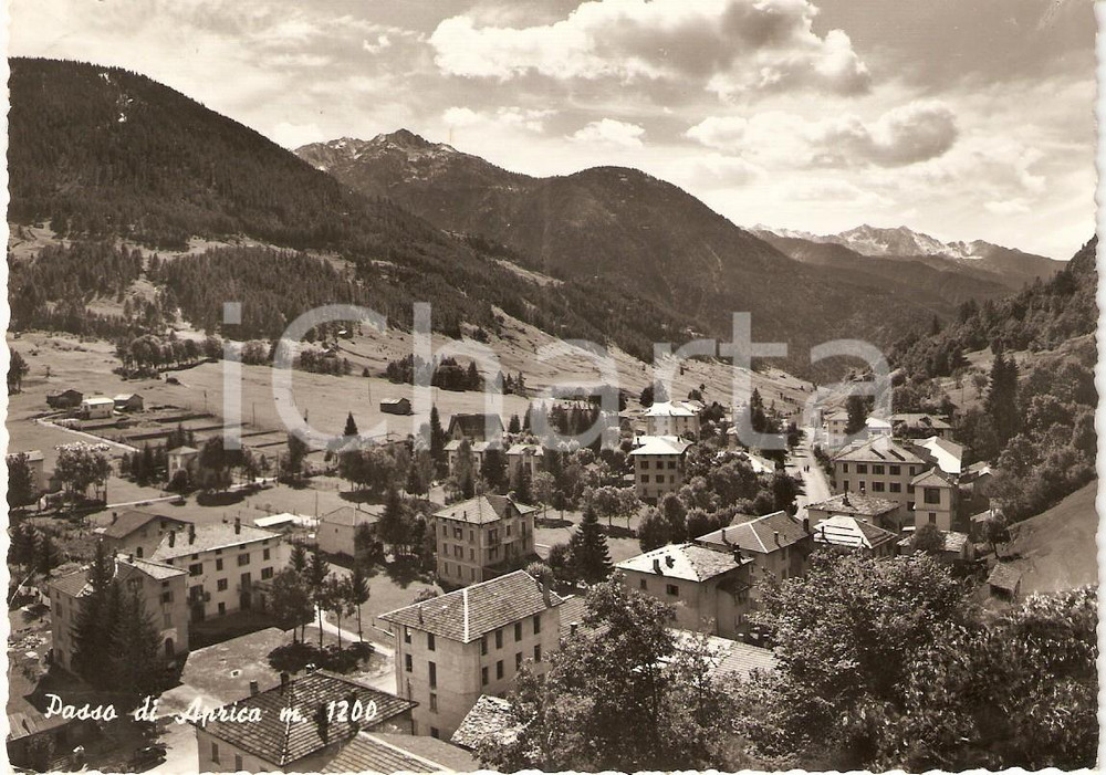 Cartolina originale da collezione 1960 PASSO DELL APRICA SO Panorama del paese Cartolina FG VG 1
