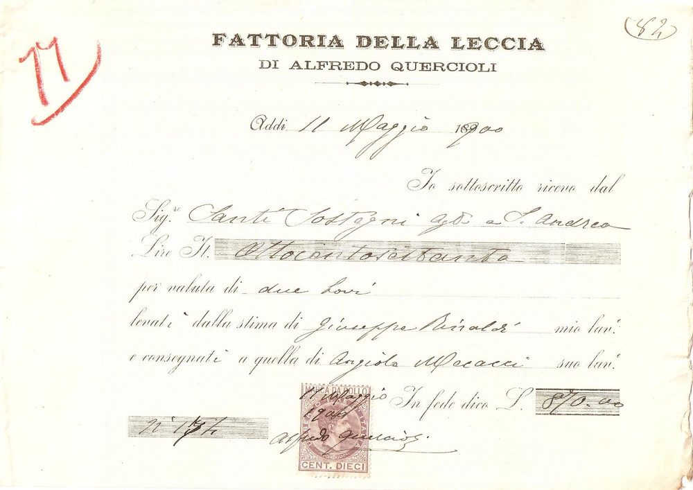 Documento originale, autentico 1900 CASTELLINA IN CHIANTI SI Fattoria della Leccia Alfredo QUERCIOLI Ricevuta 1