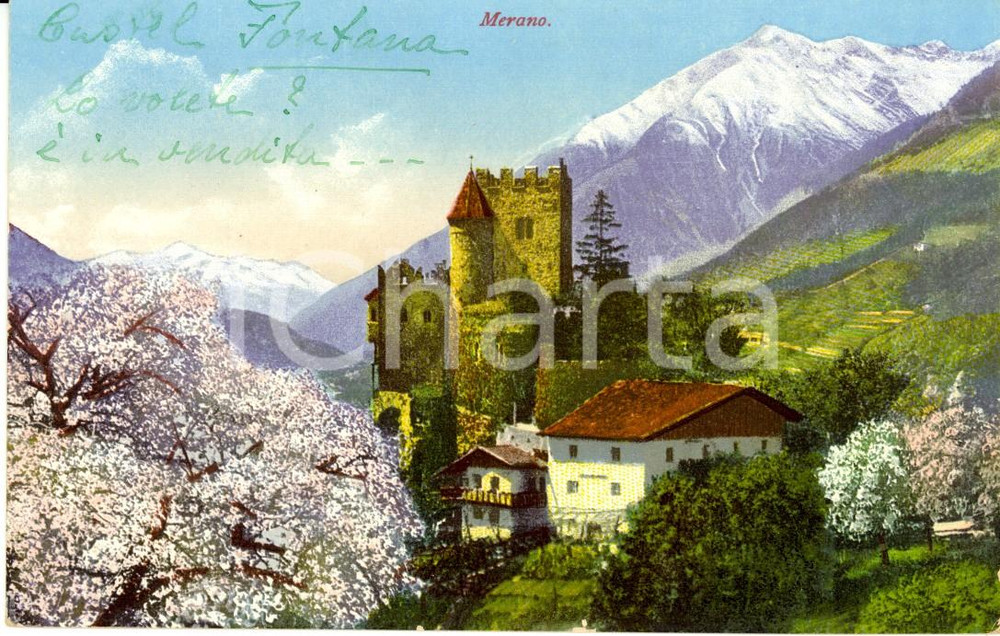 Cartolina originale da collezione 1930 ca TIROLO / TIROL (BZ) Veduta esterna di Castel FONTANA *Cartolina FP NV 1