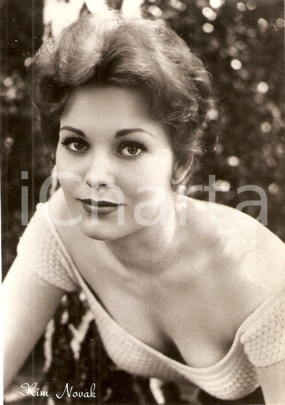 Cartolina originale da collezione 1950 ca CINEMA Actress Kim NOVAK Portrait *Cartolina FG NV 1