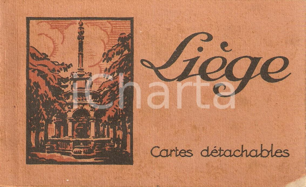 Cartolina originale da collezione 1920 ca LIEGE BELGIUM Vedute della città Album 20 cartoline 1