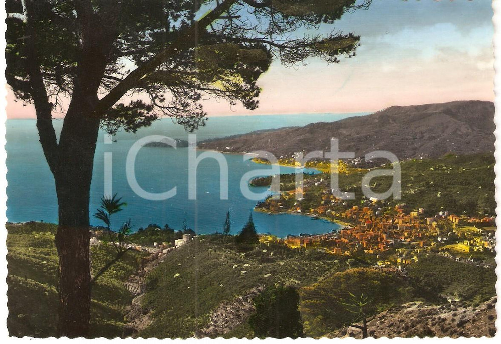 Cartolina originale da collezione 1950 ca RAPALLO (GE) Panorama di MONTALLEGRO *Cartolina FG NV 1