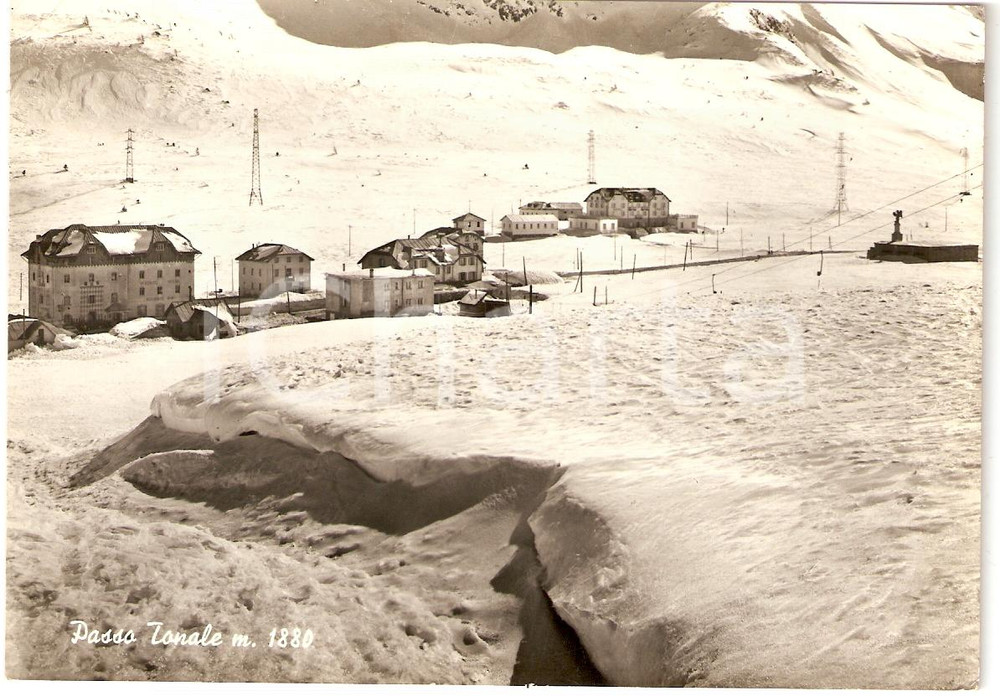 Cartolina originale da collezione 1964 PASSO TONALE (TN) Panorama *Cartolina postale FG VG 1