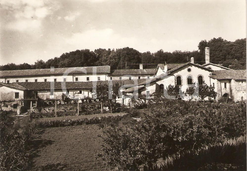 Cartolina originale da collezione 1950 ca SPOLETO Frazione MONTELUCO PG Convento Francescano Cartolina FG NV 1