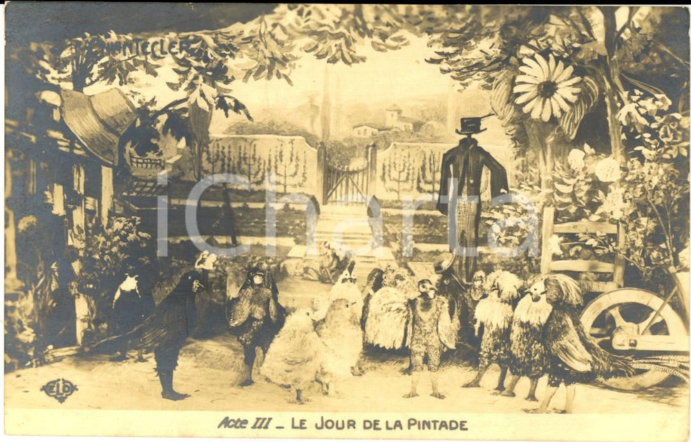 Cartolina originale da collezione 1910 CHANTECLER Le jour de la pintade  Acte III  Edmond ROSTAND Carte postale 1