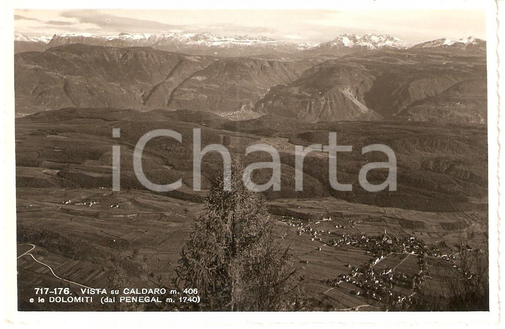 Cartolina originale da collezione 1950 ca CALDARO SULLA STRADA DEL VINO BZ Panorama DOLOMITI Cartolina FP NV 1